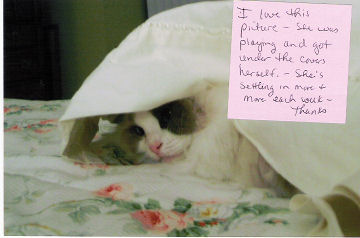BellaPalazzo Glori under the covers